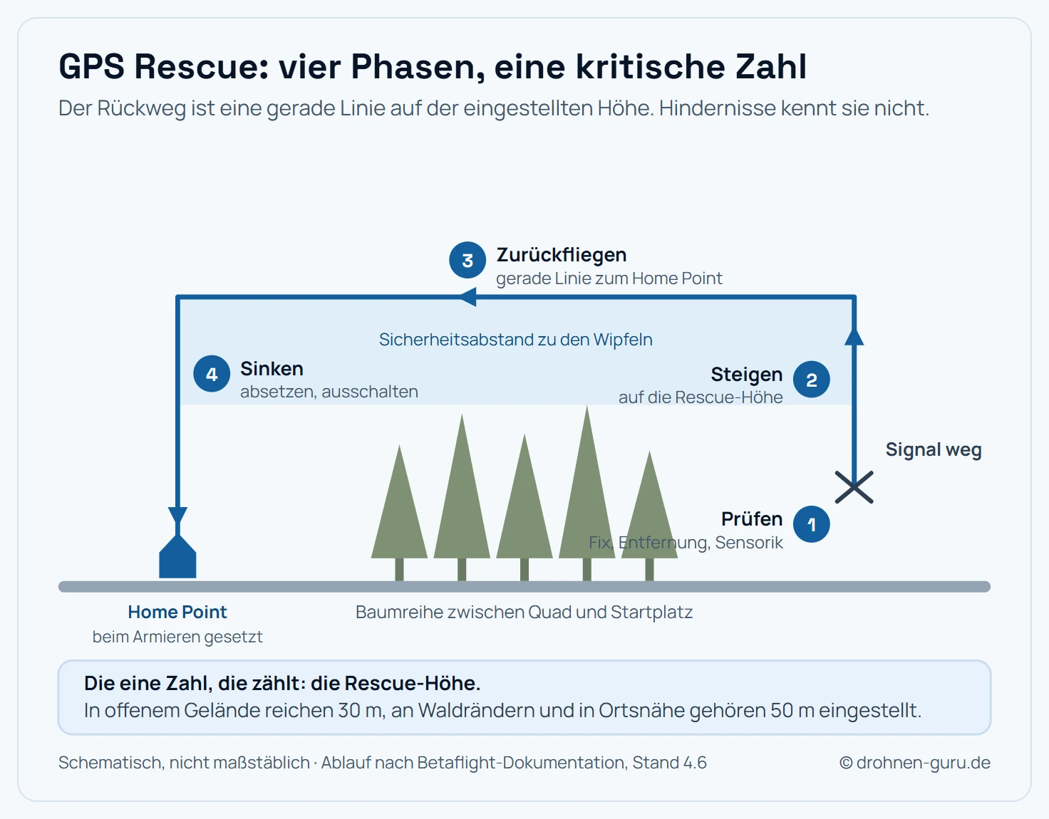 Seitenansicht des Flugprofils bei einem GPS Rescue in vier Phasen. Phase eins: Am Punkt des Signalverlusts prüft Betaflight die Voraussetzungen, also GPS-Fix, Entfernung zum Startpunkt und plausible Sensorwerte. Phase zwei: Der Quad steigt senkrecht auf die eingestellte Rescue-Höhe, die über der Baum- und Gebäudehöhe liegen muss. Phase drei: Er dreht sich zum Heimatpunkt und fliegt auf gleichbleibender Höhe zurück. Phase vier: Über dem Startpunkt sinkt er ab und schaltet am Boden die Motoren aus. Eine Baumreihe zwischen Verlustpunkt und Startpunkt verdeutlicht, warum die Rescue-Höhe die entscheidende Einstellung ist: Eine zu niedrig gewählte Höhe führt den Rückweg direkt in die Hindernisse.