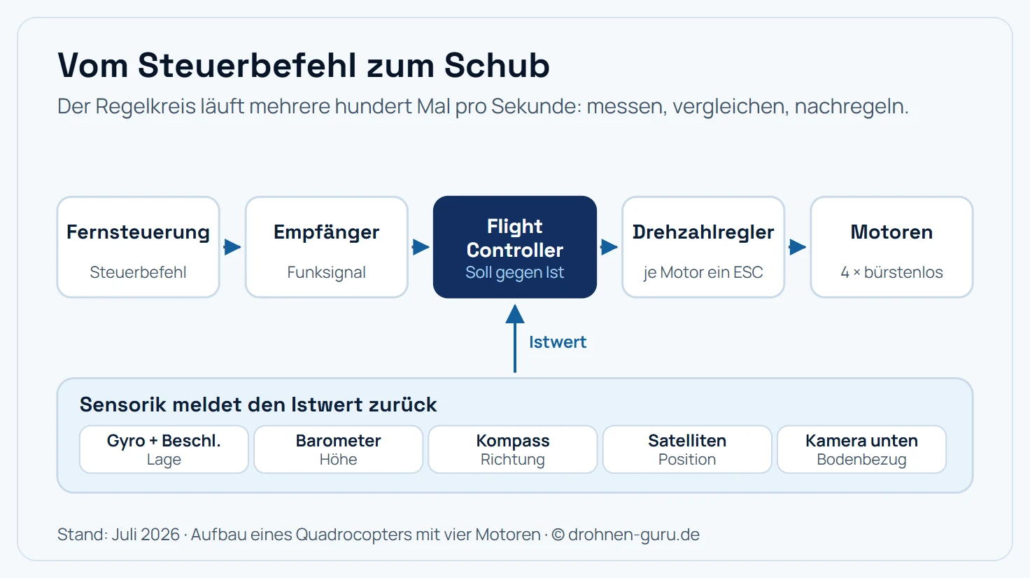 Schema des Regelkreises einer Drohne in fünf Stationen. Erstens Fernsteuerung mit dem Steuerbefehl des Piloten. Zweitens Empfänger in der Drohne. Drittens Flight Controller als Rechner, der Sollwert und Istwert vergleicht. Viertens Drehzahlregler, ESC, je Motor. Fünftens die vier bürstenlosen Motoren mit Propellern. Von der Sensorik führt ein Rückkopplungspfeil zurück zum Flight Controller: Gyroskop und Beschleunigungssensor liefern die Lage, das Barometer die Höhe, der Kompass die Richtung, die Satellitennavigation die Position und Kameras nach unten den Bodenbezug. Der Kreis läuft mehrere hundert Mal pro Sekunde.