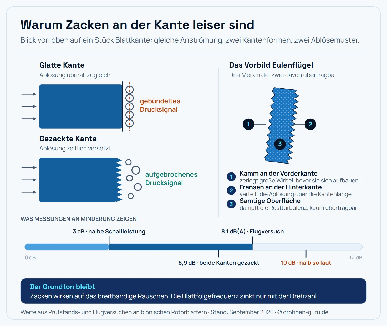 Zweiteilige Schemagrafik zur Wirkung gezackter Propellerkanten. Links oben ein Blattsegment in Draufsicht mit glatter Abströmkante: Von links strömt die Luft an, an der geraden Kante lösen sich fünf gleich große Wirbel exakt nebeneinander auf einer gemeinsamen senkrechten Linie ab, die als gestrichelte Ablöselinie eingezeichnet ist. Die Beschriftung nennt das ein gebündeltes Drucksignal, das sich gut als Schall abstrahlt. Links unten dasselbe Blattsegment mit gezackter Abströmkante: Die Wirbel lösen sich an Zackenspitzen und Zackentälern in unterschiedlichem Abstand und in unterschiedlicher Größe ab, eine gemeinsame Linie gibt es nicht mehr. Die Beschriftung nennt das ein aufgebrochenes Drucksignal, das schlechter abstrahlt. Rechts ein einzelnes Propellerblatt in Draufsicht mit den drei Merkmalen des Eulenflügels, nummeriert von eins bis drei: erstens ein Kamm an der Vorderkante, der große Wirbel zerlegt, bevor sie sich aufbauen, zweitens Fransen an der Hinterkante, die die Ablösung über die Kantenlänge verteilen, drittens eine samtige Oberfläche, die die Restturbulenz dämpft und sich kaum auf Propeller übertragen lässt. Unten über die ganze Breite eine Dezibel-Skala von null bis zwölf mit vier Marken: drei Dezibel als Halbierung der Schallleistung, 6,9 Dezibel für Zacken an beiden Kanten, 8,1 dB(A) aus einem Flugversuch mit Sechsrotor-Aufbau und zehn Dezibel als der Punkt, ab dem etwas als etwa halb so laut empfunden wird.