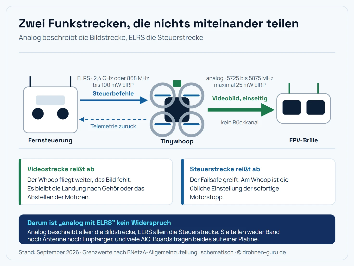 Schematische Darstellung der zwei getrennten Funkstrecken an einem analogen Tinywhoop. In der Mitte der Whoop in Draufsicht mit vier umschlossenen Propellern und einer grün markierten Kamera vorn, die als Quelle der Videostrecke farblich zu ihr gehört; links davon die Fernsteuerung, rechts die FPV-Brille. Von der Fernsteuerung führt ein durchgezogener Pfeil nach rechts zum Whoop, beschriftet mit Steuerbefehle, ELRS auf 2,4 GHz oder 868 MHz mit bis zu 100 Milliwatt EIRP. Ein dünnerer gestrichelter Pfeil führt vom Whoop zurück zur Fernsteuerung, beschriftet mit Telemetrie, also Akkuspannung und Signalqualität. Vom Whoop führt ein breiter Pfeil nach rechts zur Brille, beschriftet mit Videobild, analog auf 5,8 GHz mit maximal 25 Milliwatt EIRP, ausdrücklich nur in eine Richtung. Unter den beiden Strecken steht jeweils, was ihr Ausfall bedeutet: Reißt die Videostrecke ab, bleibt die Drohne steuerbar und wird blind geflogen. Reißt die Steuerstrecke ab, greift der Failsafe und die Motoren stoppen. Eine Trennlinie zwischen den beiden Bändern verdeutlicht, dass sie sich weder Antenne noch Empfänger teilen. Hinweisleiste: Zwei Bänder, zwei Antennen, zwei getrennte Ausfallarten. Schematisch, nicht maßstäblich.